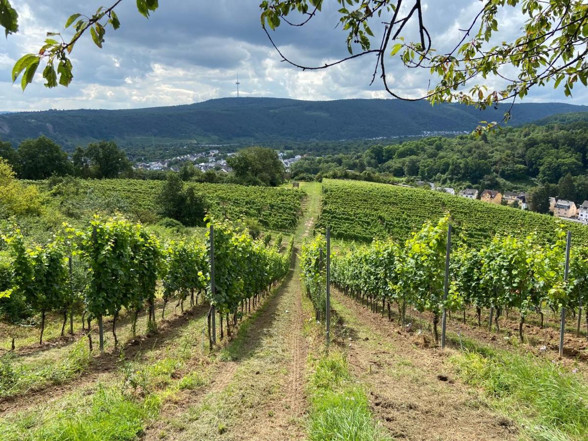 Lieblingsplatz Koblenz Villa โคเบลนซ์ ภายนอก รูปภาพ
