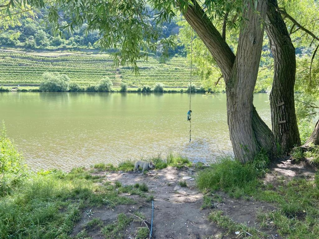 Lieblingsplatz Koblenz Villa โคเบลนซ์ ภายนอก รูปภาพ